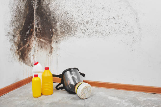Best Post-Remediation Services in West Menlo Park, CA