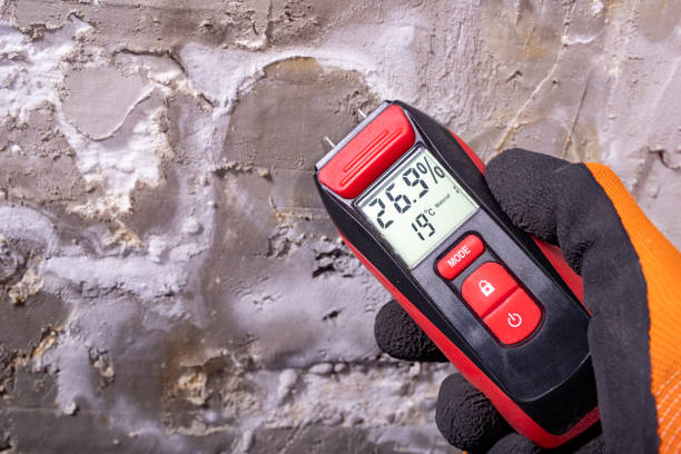 Best Post-Flood Mold Remediation in West Menlo Park, CA