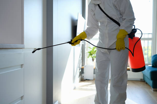 Best Emergency Mold Remediation in West Menlo Park, CA