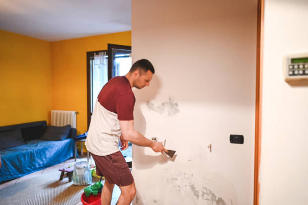  West Menlo Park, CA Mold Removal Pros